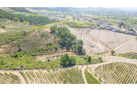 Grond in Murca, Vila Real, Murca - € 60.000 | Ref: K535 - foto 5