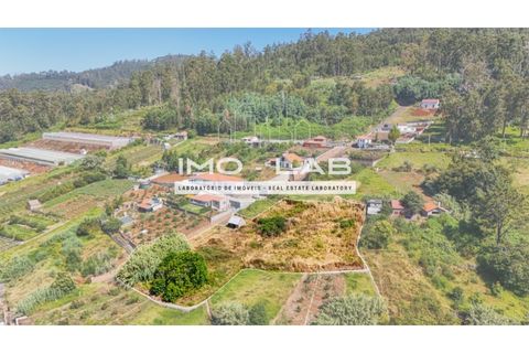 Helårsgrund i Ponta do Sol, Madeira, Ponta do Sol - € 292.500 | Ref: TER_325 - foto 5