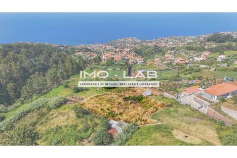 Helårsgrund i Ponta do Sol, Madeira, Ponta do Sol - € 292.500 | Ref: TER_325 - foto 6