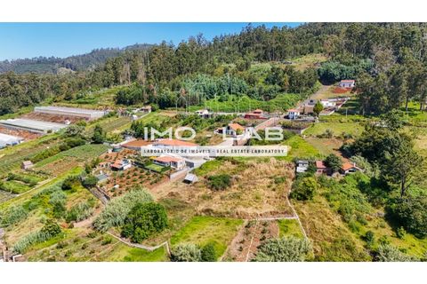 Helårsgrund i Ponta do Sol, Madeira, Ponta do Sol - € 292.500 | Ref: TER_325 - foto 7