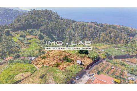 Helårsgrund i Ponta do Sol, Madeira, Ponta do Sol - € 292.500 | Ref: TER_325 - foto 8