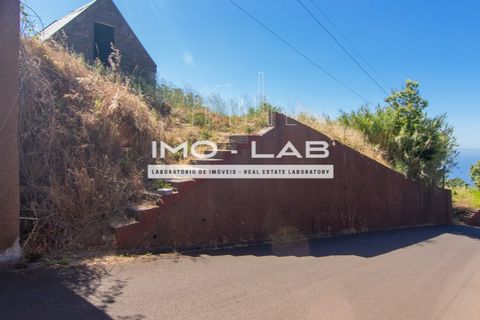 Helårsgrund i Ponta do Sol, Madeira, Ponta do Sol - € 292.500 | Ref: TER_325 - foto 14