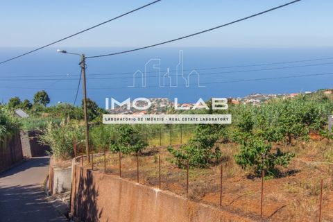 Helårsgrund i Ponta do Sol, Madeira, Ponta do Sol - € 292.500 | Ref: TER_325 - foto 15