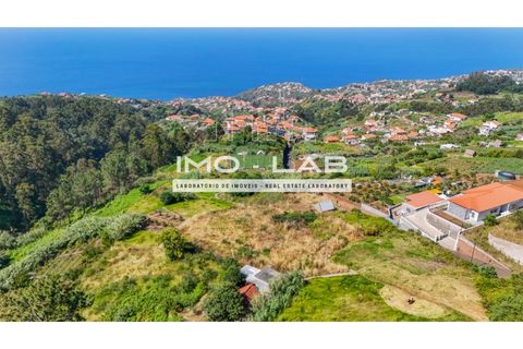 Helårsgrund i Ponta do Sol, Madeira, Ponta do Sol - € 292.500 | Ref: TER_325 - foto 16
