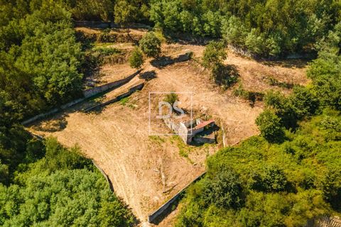 Ruinere i Sande e Sao Lourenco do Douro, Porto, Sande e Sao Lourenco do Douro - € 165.000 | Ref: DSPMCANAV47 - foto 1
