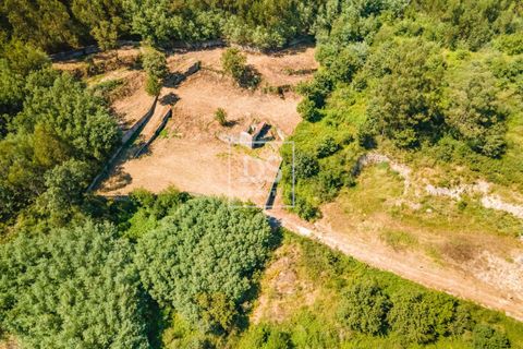 Ruinere i Sande e Sao Lourenco do Douro, Porto, Sande e Sao Lourenco do Douro - € 165.000 | Ref: DSPMCANAV47 - foto 5