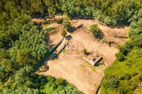 Ruinere i Sande e Sao Lourenco do Douro, Porto, Sande e Sao Lourenco do Douro - € 165.000 | Ref: DSPMCANAV47 - foto 6