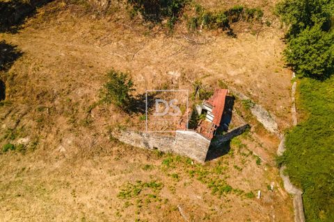Ruinere i Sande e Sao Lourenco do Douro, Porto, Sande e Sao Lourenco do Douro - € 165.000 | Ref: DSPMCANAV47 - foto 7