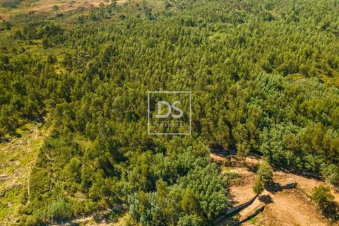 Ruinere i Sande e Sao Lourenco do Douro, Porto, Sande e Sao Lourenco do Douro - € 165.000 | Ref: DSPMCANAV47 - foto 8