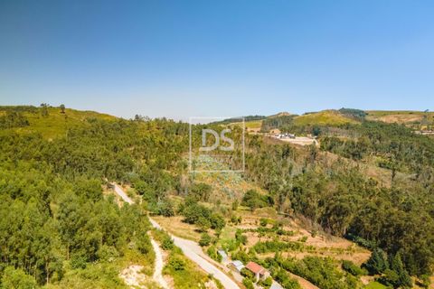 Ruinere i Sande e Sao Lourenco do Douro, Porto, Sande e Sao Lourenco do Douro - € 165.000 | Ref: DSPMCANAV47 - foto 10