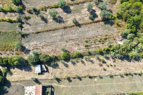 Helårsgrund i Coimbra, Coimbra, Coimbra - € 37.500 | Ref: AG75 - foto 5