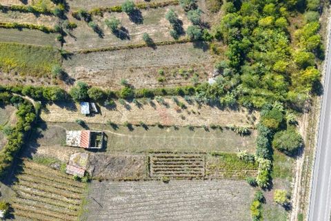 Helårsgrund i Coimbra, Coimbra, Coimbra - € 37.500 | Ref: AG75 - foto 6