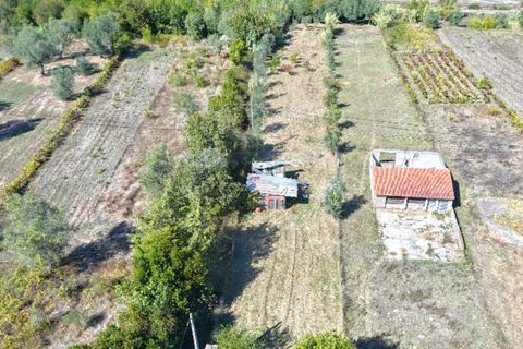 Helårsgrund i Coimbra, Coimbra, Coimbra - € 37.500 | Ref: AG75 - foto 8