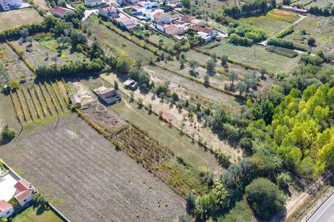 Helårsgrund i Coimbra, Coimbra, Coimbra - € 37.500 | Ref: AG75 - foto 4