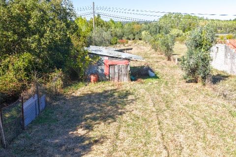 Helårsgrund i Coimbra, Coimbra, Coimbra - € 37.500 | Ref: AG75 - foto 10
