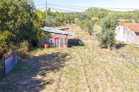 Helårsgrund i Coimbra, Coimbra, Coimbra - € 37.500 | Ref: AG75 - foto 11