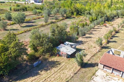 Helårsgrund i Coimbra, Coimbra, Coimbra - € 37.500 | Ref: AG75 - foto 12
