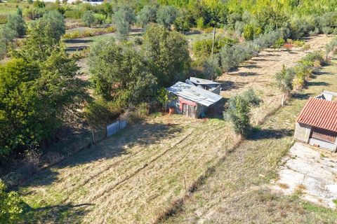 Helårsgrund i Coimbra, Coimbra, Coimbra - € 37.500 | Ref: AG75 - foto 13