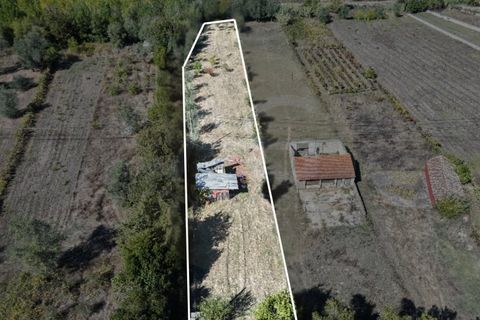 Helårsgrund i Coimbra, Coimbra, Coimbra - € 37.500 | Ref: AG75 - foto 3