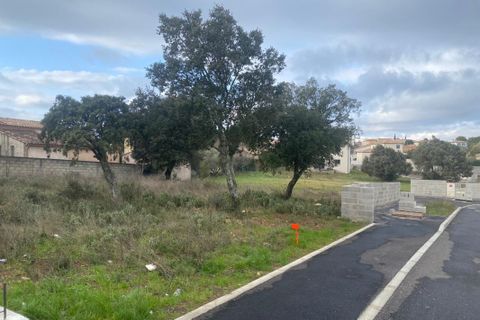Terra a Poulx, Gard, Poulx - € 129.000 | Ref: S2TML21 - foto 2