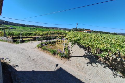 Helårsgrund i Barcelos, Braga, Barcelos - € 650.000 | Ref: ONE141784-1 - foto 2