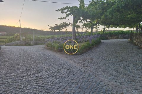 Helårsgrund i Barcelos, Braga, Barcelos - € 650.000 | Ref: ONE141784-1 - foto 6