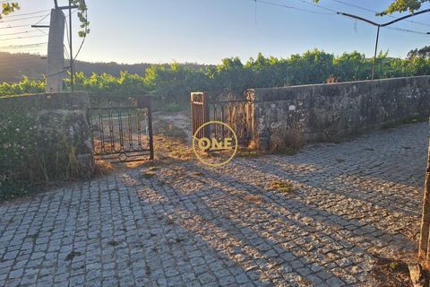 Helårsgrund i Barcelos, Braga, Barcelos - € 650.000 | Ref: ONE141784-1 - foto 8