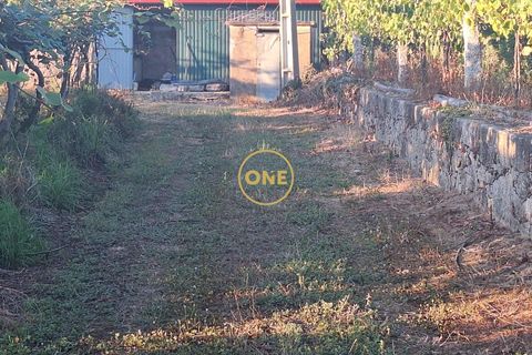 Helårsgrund i Barcelos, Braga, Barcelos - € 650.000 | Ref: ONE141784-1 - foto 11