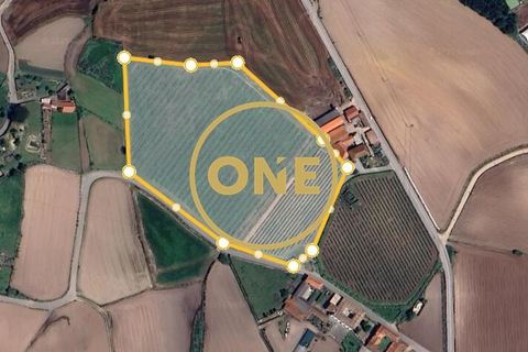 Helårsgrund i Barcelos, Braga, Barcelos - € 650.000 | Ref: ONE141784-1 - foto 22