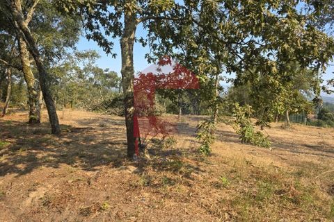 Helårsgrund i Vila Verde, Braga, Vila Verde - € 97.500 | Ref: 08669 - foto 4