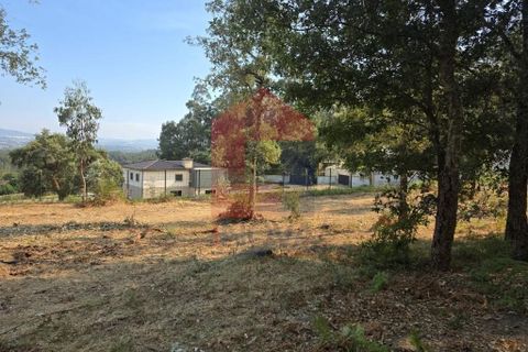 Helårsgrund i Vila Verde, Braga, Vila Verde - € 97.500 | Ref: 08669 - foto 5