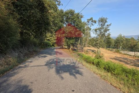 Helårsgrund i Vila Verde, Braga, Vila Verde - € 97.500 | Ref: 08669 - foto 19