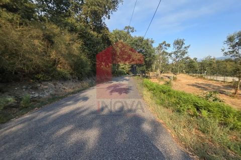 Helårsgrund i Vila Verde, Braga, Vila Verde - € 97.500 | Ref: 08669 - foto 21