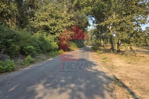Helårsgrund i Vila Verde, Braga, Vila Verde - € 97.500 | Ref: 08669 - foto 22
