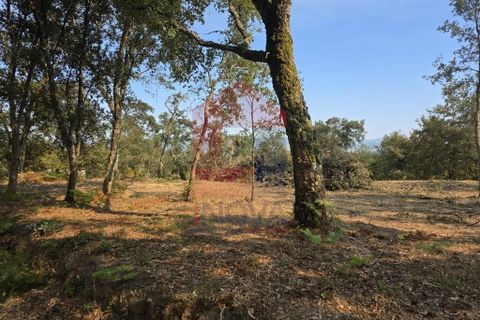 Helårsgrund i Vila Verde, Braga, Vila Verde - € 97.500 | Ref: 08670 - foto 11