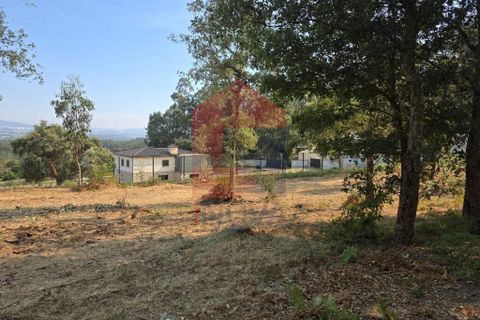 Helårsgrund i Vila Verde, Braga, Vila Verde - € 97.500 | Ref: 08670 - foto 13