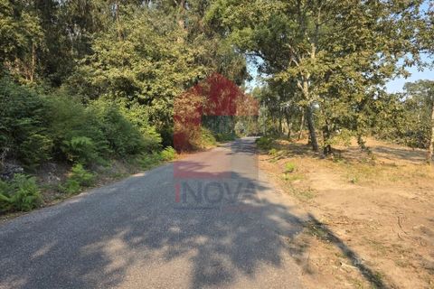 Helårsgrund i Vila Verde, Braga, Vila Verde - € 97.500 | Ref: 08670 - foto 20