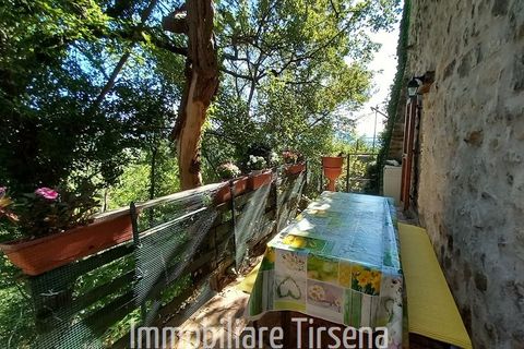 Lejlighed i Orvieto, Terni, Orvieto - € 98.000 | Ref: AP920 - foto 4