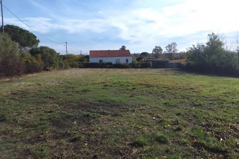Helårsgrund i Pietroso, Haute-Corse, Pietroso - € 110.000 | Ref: 11431 - foto 1