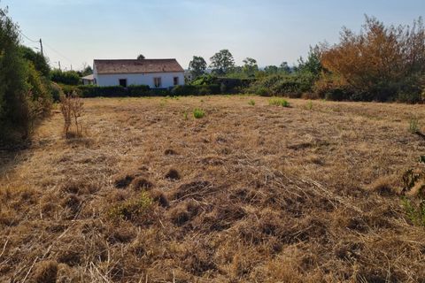 Helårsgrund i Pietroso, Haute-Corse, Pietroso - € 110.000 | Ref: 11431 - foto 4