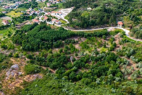 Granja a Amarante, Porto, Amarante - € 300.000 | Ref: 1050 - foto 2