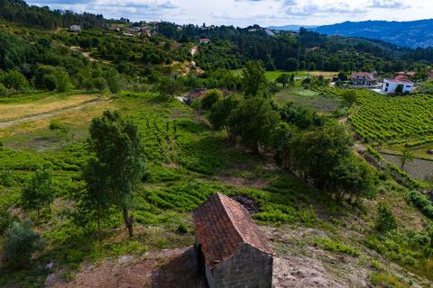 Granja a Amarante, Porto, Amarante - € 300.000 | Ref: 1050 - foto 12