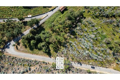 Terra a Branca, Aveiro, Branca - € 85.000 | Ref: OAZ4157 - foto 2