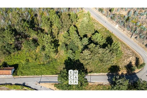 Terra a Branca, Aveiro, Branca - € 85.000 | Ref: OAZ4157 - foto 3