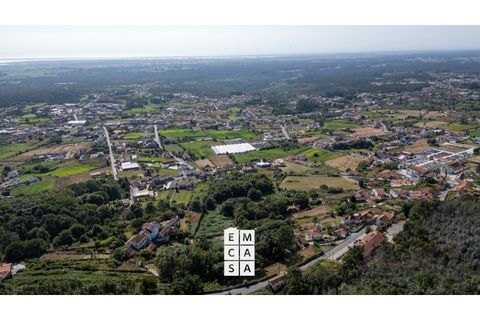 Terra a Branca, Aveiro, Branca - € 85.000 | Ref: OAZ4157 - foto 4