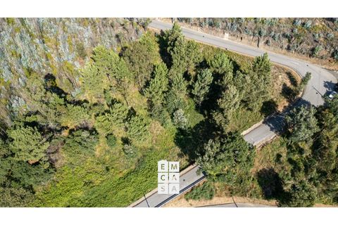 Terra a Branca, Aveiro, Branca - € 85.000 | Ref: OAZ4157 - foto 5