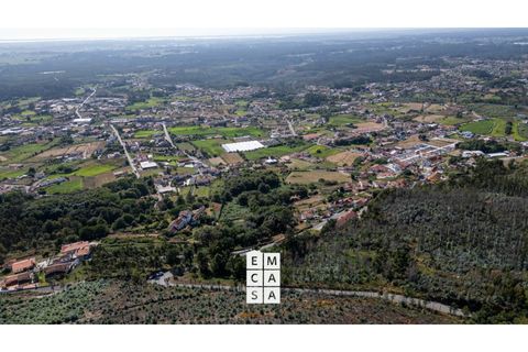 Terra a Branca, Aveiro, Branca - € 85.000 | Ref: OAZ4157 - foto 6