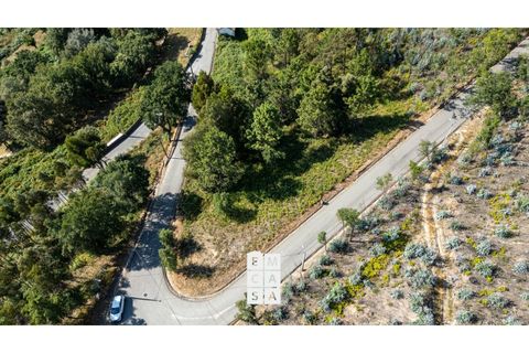 Terra a Branca, Aveiro, Branca - € 85.000 | Ref: OAZ4157 - foto 7