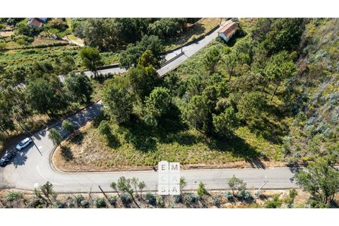 Terra a Branca, Aveiro, Branca - € 85.000 | Ref: OAZ4157 - foto 8