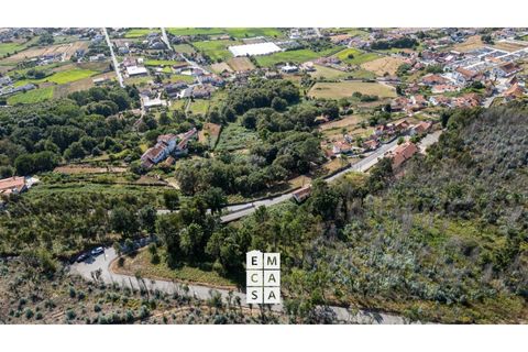 Terra a Branca, Aveiro, Branca - € 85.000 | Ref: OAZ4157 - foto 9